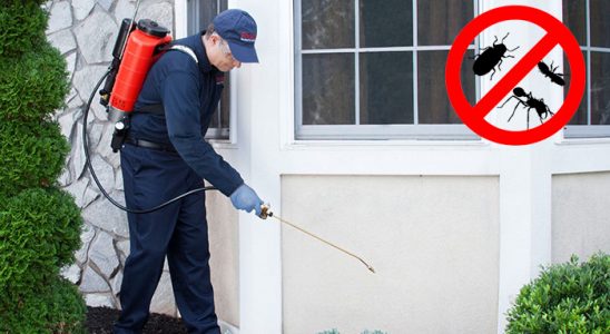 Görele Böcek ve Haşere İlaçlama böcek ilaçlama ve haşere kontrolü — ilaclama-tr.com